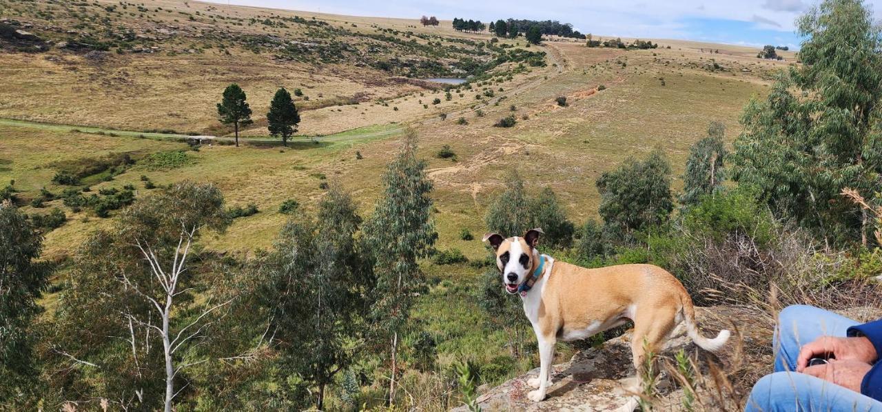 Willa Oban Historical Guest Farm Van Reenen Zewnętrze zdjęcie